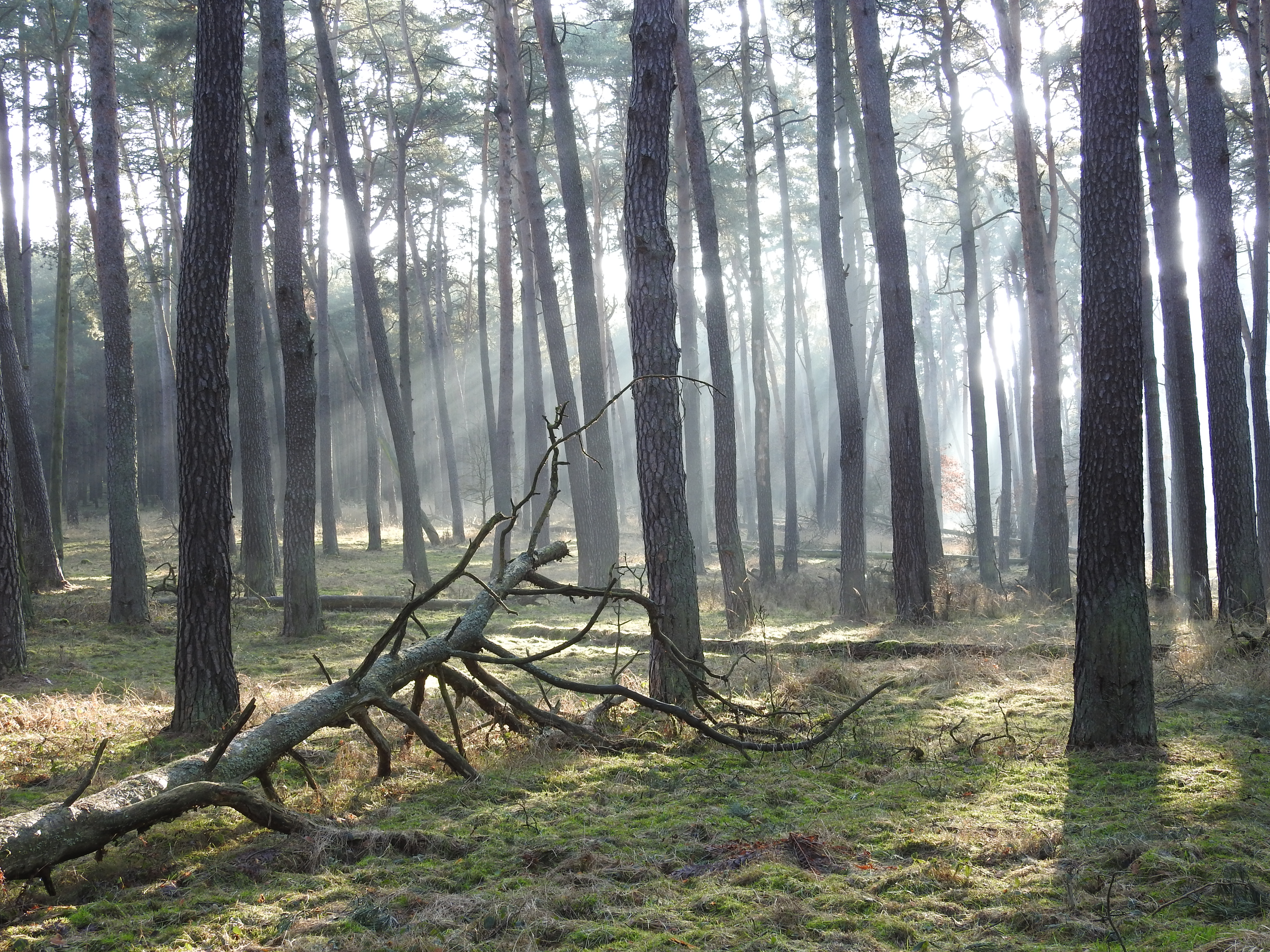 Cedyński Park Krajobrazowy fot. zbiory ZPKWZ