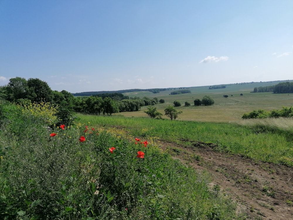 Przyroda nieożywiona